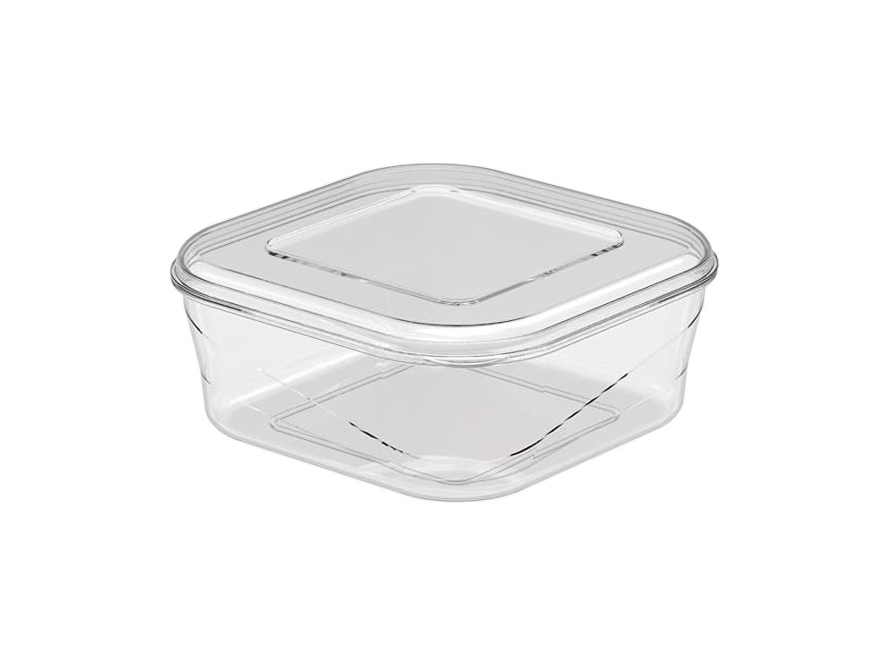 Lucida Cup (KK 2081)